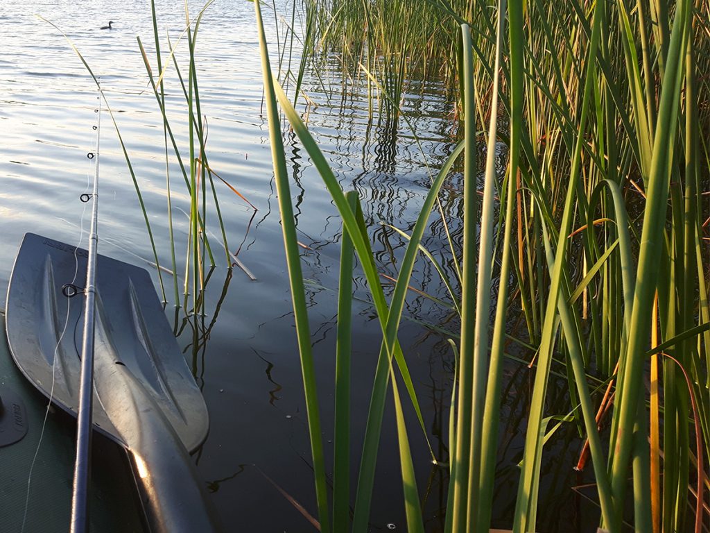 wiosenne-leszcze---kwiecień