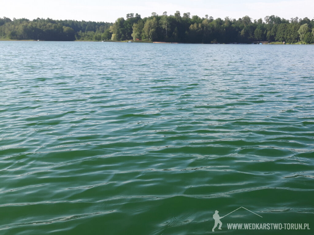 Plaża nad jeziorem Okonin